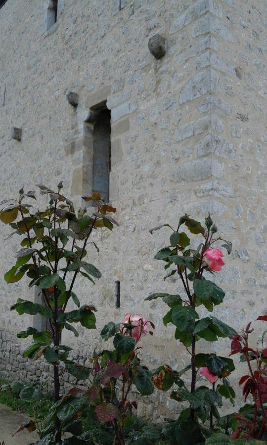 Casa Torre Cantoblanco Barron Luaran gambar